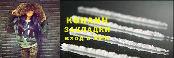 крисы Алексин