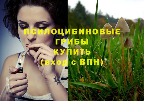 крисы Алексин