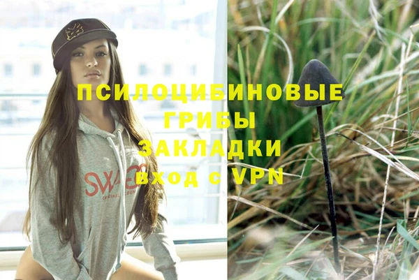 герыч Алексеевка
