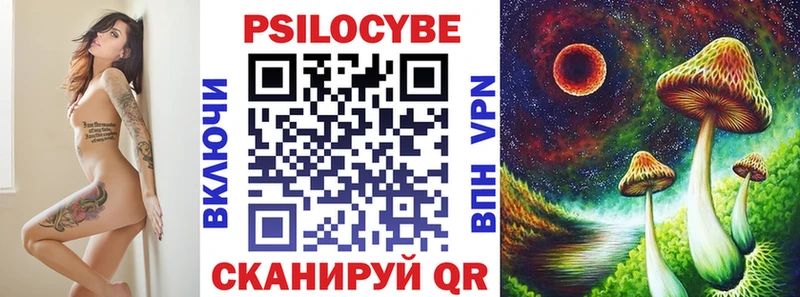 Псилоцибиновые грибы Cubensis  Геленджик 