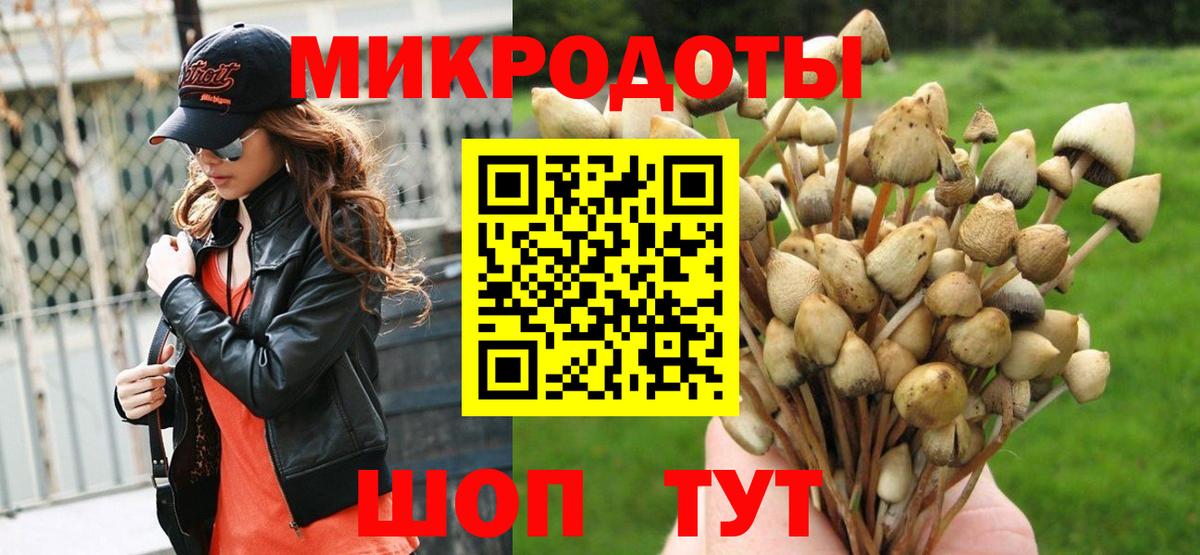 Геленджик  Псилоцибиновые грибы GOLDEN TEACHER  закладки  Вход с VPN 